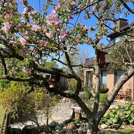 Elb Nest Gaestehaus