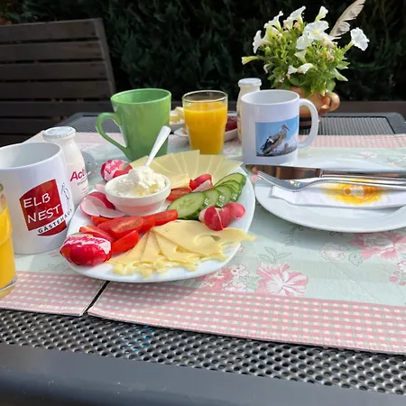 Apartment Elb Nest Gaestehaus *