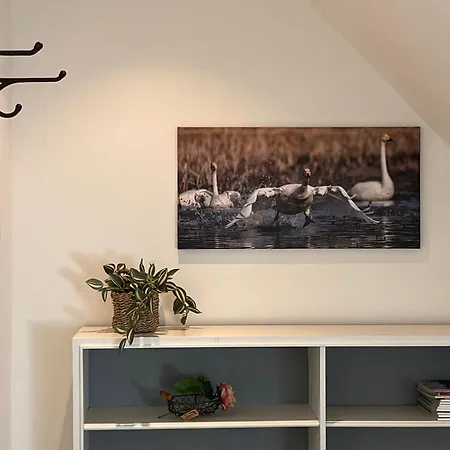 Apartment Elb Nest Gaestehaus *