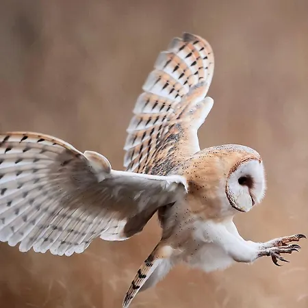 Elb Nest Gaestehaus Neu Darchau