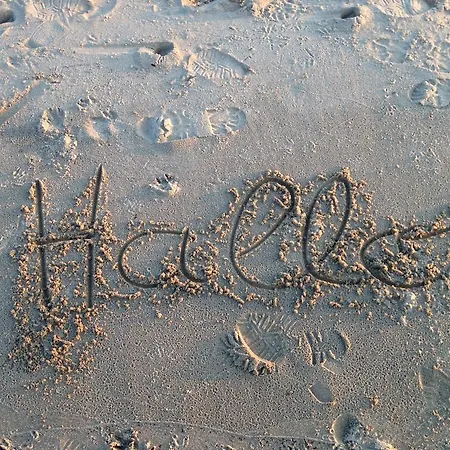 Elb Nest Gaestehaus Apartman *