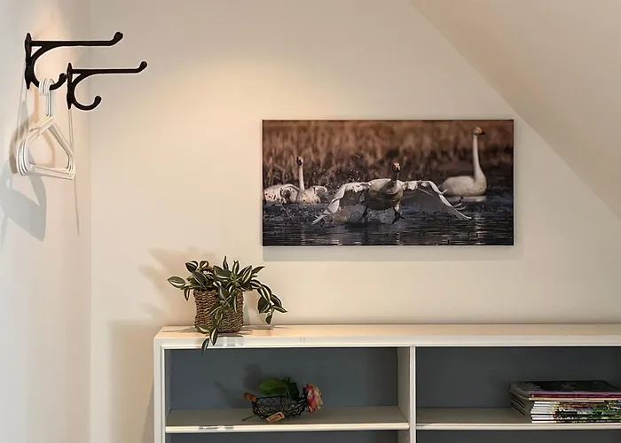 شقة Elb Nest Gaestehaus *