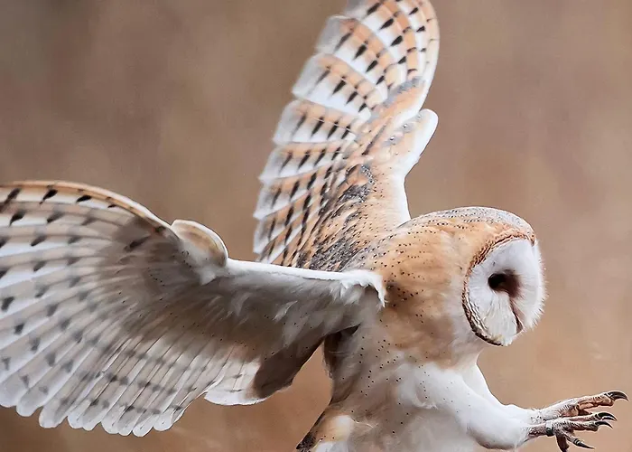 Elb Nest Gaestehaus Neu Darchau